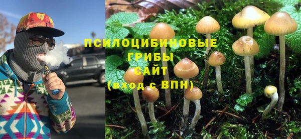 прущая мука Балахна