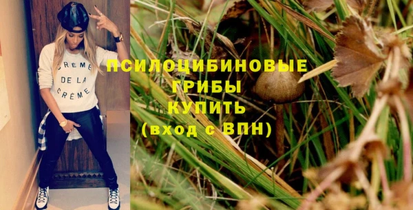 молекула духа Балабаново