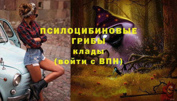 гидропоника Баксан