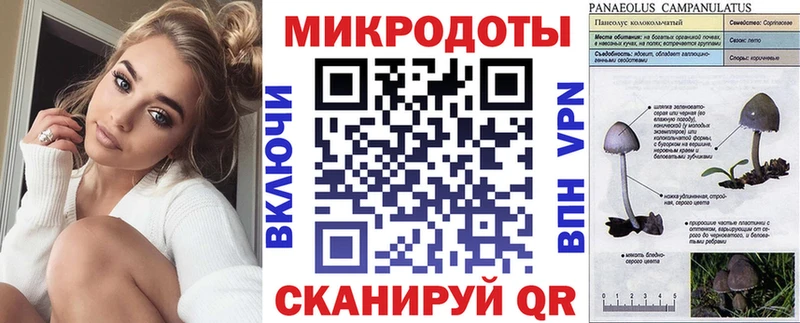 Галлюциногенные грибы мухоморы  где можно купить наркотик  блэк спрут ссылка  Чехов 